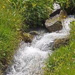 Od narzędzi dobrych uczynków do wrażliwości serca pełnego pokory tydz. III